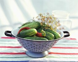 Fresh pickling cucumbers with chili pepper & dill in colander