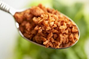 Close Up of a Spoonful of Bacon Bits