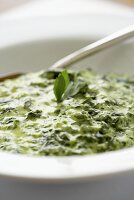 Close Up of a Bowl of Creamed Spinach; Spoon