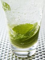 A glass of Mojito (close-up)