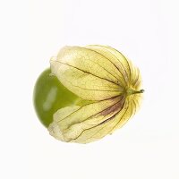 Tomatillo with husk