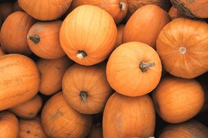 Orange pumpkins