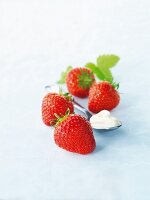 Vier Erdbeeren und ein Löffel Sahne