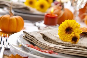 Autumnal Table Setting with Chrysanthemums and Pumpkins