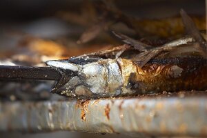 Steckerlfisch (grilled fish on a stick, Oktoberfest, Munich)