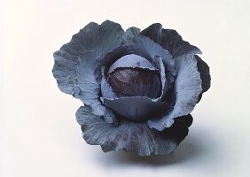 A red cabbage