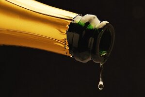 Sparkling wine dripping out of bottle