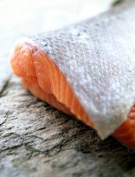 Close-up of fresh salmon