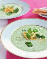 Kresserahmsuppe mit Kräutern und gebratenen Kartoffelstäbchen