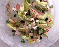 Avocado-Radieschen-Salat mit Kerbel Dressing