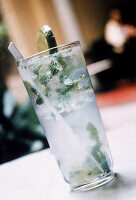 Mojito, Longdrink mit Lemonenscheibe und Eiswürfel