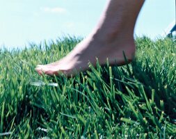 Nackter Frauenfuß auf grünem Gras 