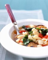 Italienische Suppe mit weißen Bohnen Nudeln und Gemüse