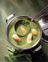 Sauerampfer-Suppe mit Möhrenklößchen 