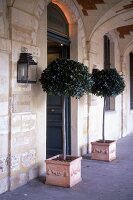 Eingang des Restaurants "L´Ambroisie" in Paris