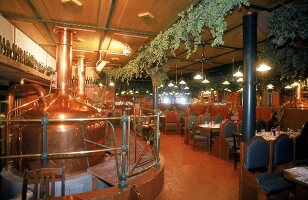 Die "Erste Neustädter Prager Brauereigaststätte