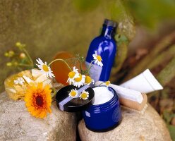 Hand cream, blue bottle and cosmetics with chamomile flower kept on stone