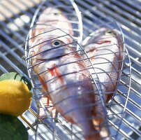 Auf dem Grill, verchromte  Fischbräter mit rohem Fisch