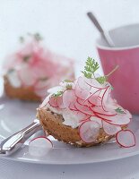 Brötchen mit Quark und Radieschen 