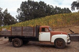 Lastwagen, mit dem das Weinlesegut transportiert wird