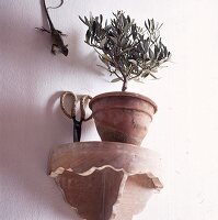 Mini Oliven-Bäumchen,auf einer Holzkonsole
