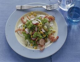 Krabbensalat mit Radieschen,Endivien salat,Mais,saure Gurken, Joghurtsoße