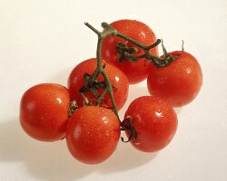 Tomaten mit Stiel. Freisteller 