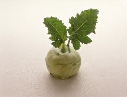 Kohlrabi, Freisteller 