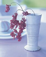 Zarte Rispen mit pinkfarbenen Beeren in hoher weißer Vase