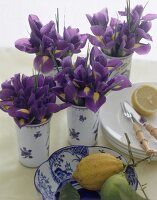Kleine Sträusse Lilafarbener Iris in chinesischen Bechern
