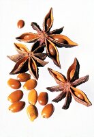 Star anise with seeds on white background