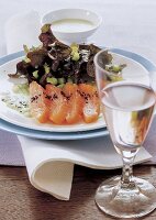 Lachs mit Eichblatt-Gurken-Salat auf Koriander-Schmand