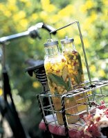 Nektarinen-Basilikum-Eistee in länglichen Flaschen auf Fahrrad in Natur