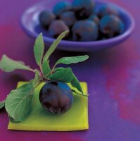 Plum with sprig and bowl of plums in background