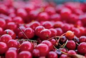 Close-up of fresh cherries
