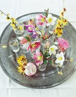 Various sprigs of winter flowers in glass vases on a pewter plate