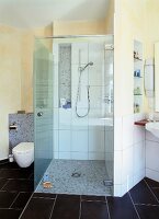 Bad, Dusche mit Glaswand und Mosaik boden, daneben ein WC
