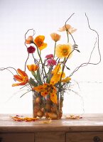 Close-up of Iceland poppies, tulips and ranunculus