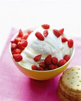 Close-up of frozen yoghurt with berries in bowl
