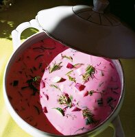 Rote-Beete-Suppe 