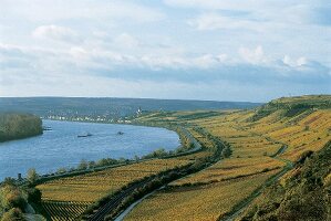 Weinberge, Weinregion, Roter Hang, Nierstein, Deutschland