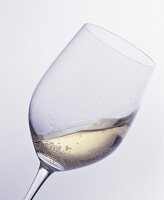 Wein, Weißwein im Glas, sprudelnd, Studio, Still