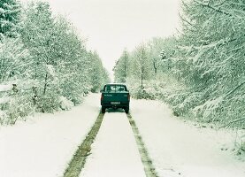 Wald, Pick-Up auf Waldweg im Schnee auf Gut Hohenhaus, Thüringen