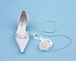 Brautschuhe, Hochzeitsschuhe, Schuhe Pumps mit Riemen, Satinhalsband
