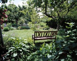 Bench in garden surrounded with trees and plants