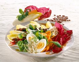 Gemischter Salat, mit Bohnen und Ei 