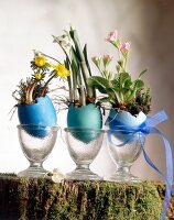 Gefärbte Eierschalen mit Blumen in kleinen Vasen, Ostern