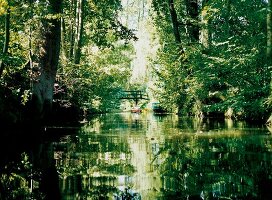 Paddler auf einem romantischen Flussarm, dem Fliess im Spreewald