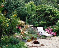 White sun lounger and a cat in garden