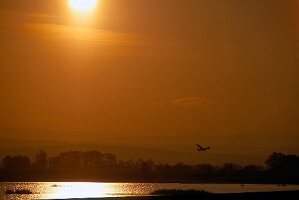 View of sunset at Lake Neusiedl in Austria, Silhouette